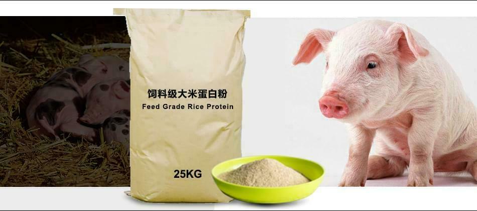 feed grade rice protein